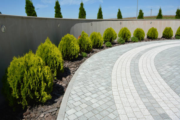 Best Interlocking Driveway Pavers  in El Paso De Robles, CA